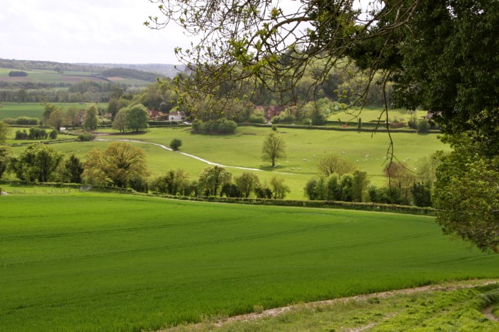 hambleden valley