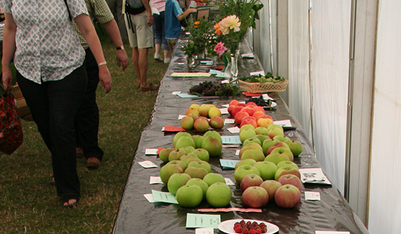 table with fruit