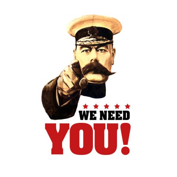 Councillor Wanted